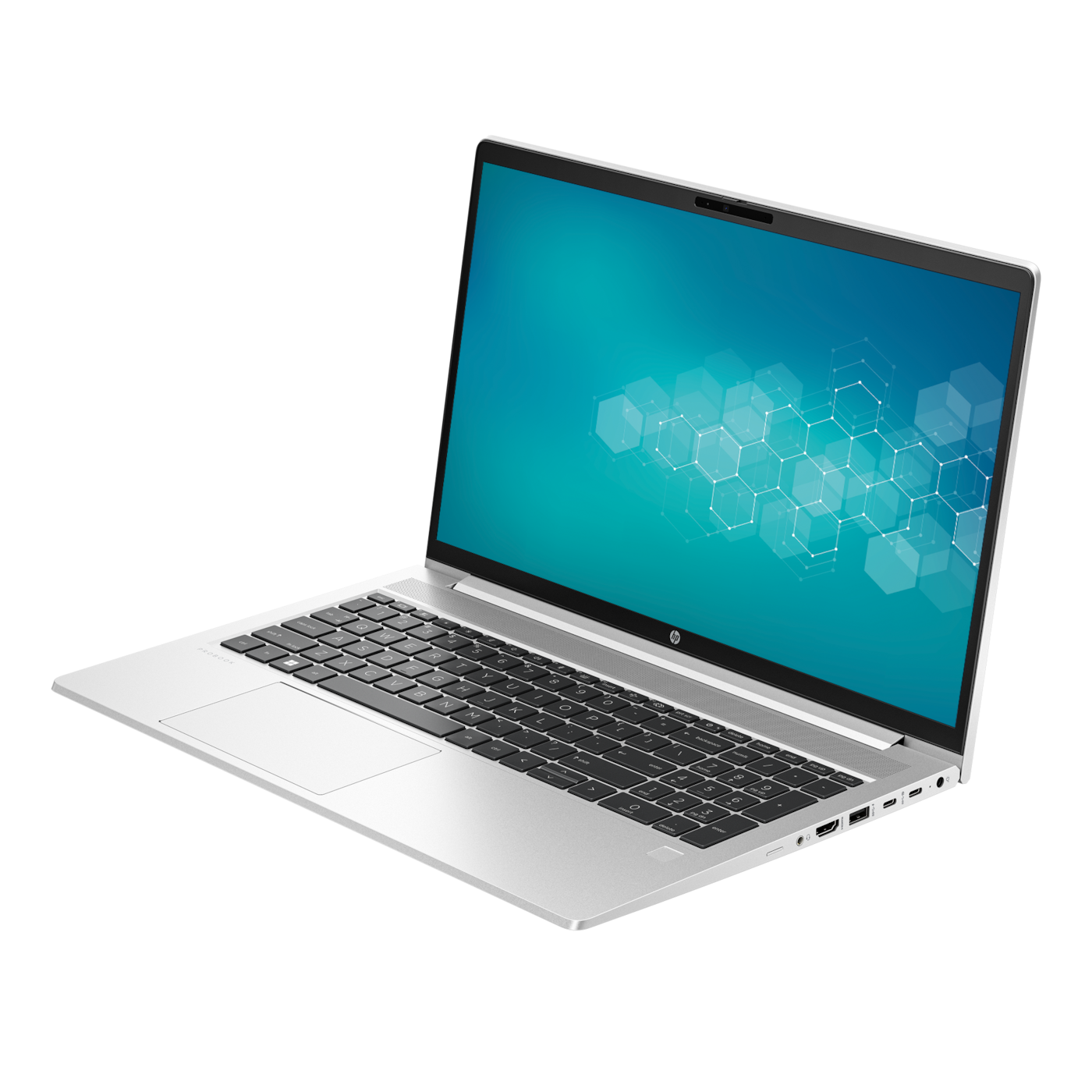 HP ProBook 450 G10 8X9R8ES 